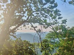 -黄埔油麻山森林公园