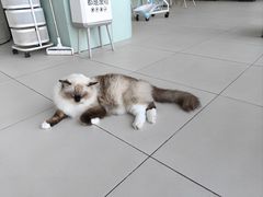 -怪兽屋·羊驼·猫咖·狗咖(俊华广场店)