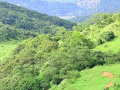 -大姆山草场