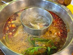 -金鼎雪山牦牛杂火锅(理县总店)