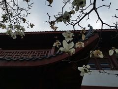 -堤角公园