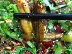 -乐山第一家临江鳝丝(茶坊路店)