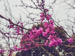 -龙头寺公园