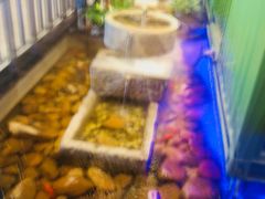 -丰茂烤串(公园店)
