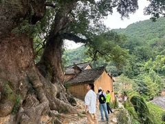 -杨家堂村