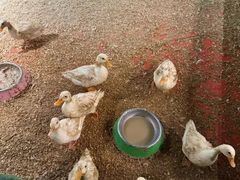 -北京华联合肥长江西路购物中心