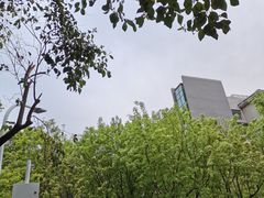 -河南财经政法大学(郑东校区)