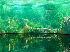 -中国湿地博物馆