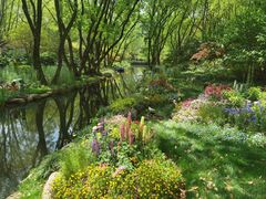 -上海共青森林公园