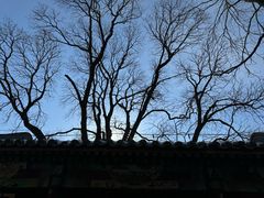 -潭柘寺景区