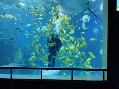 -太平洋海底世界