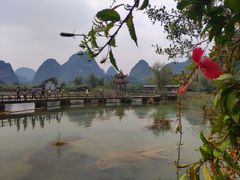 -靖西鹅泉风景区