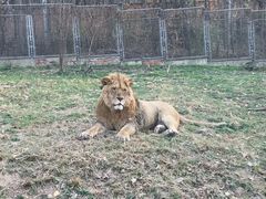 -西安秦岭野生动物园