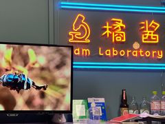 -橘酱餐厅