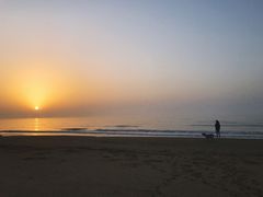 -日照海滨国家森林公园