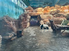 -石家庄市动物园