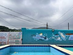 -趣玩宠物乐园寄养训犬训狗游泳池