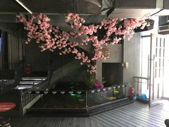 -新悦·霞浦海鲜生(上下杭店)