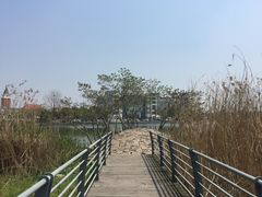 -美兰湖景区
