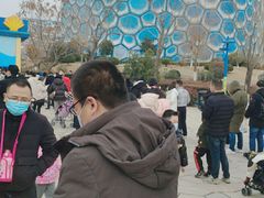 -华夏文旅海洋公园