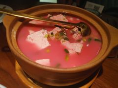 三明红菇炖豆腐-CHIC1699远洋私厨