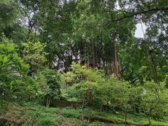 -晓港公园