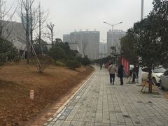 -长沙博物馆