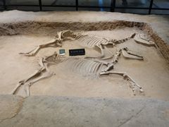 -洛阳周王城天子驾六博物馆