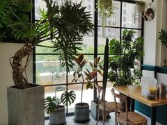 -半分甜(台柳路店)