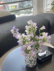 -JNK皮肤管理中心