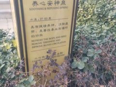 -大连金石滩绿发温泉假日酒店