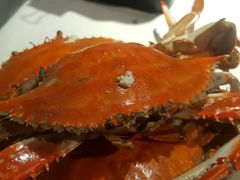-星伦多自助料理·涮烤一体(嘉兴八佰伴店)
