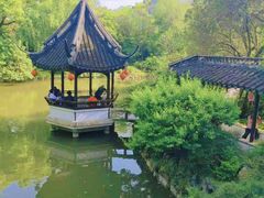 -上海醉白池公园