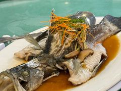 -大茄来海鲜餐厅(亚洲城分行)