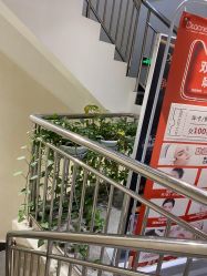 -痘院长·祛痘修护·皮肤管理