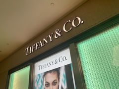 -Tiffany & Co.蒂芙尼
(南京德基广场店)