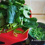 来一盘改良版的老醋果仁菠菜