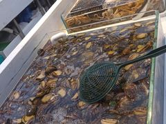 -集品鲜湾·蒸汽海鲜自助料理(青岛银座和谐广场店)