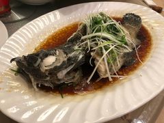 清蒸老虎斑-富丽华大酒店·御园中餐厅(茶亭路店)