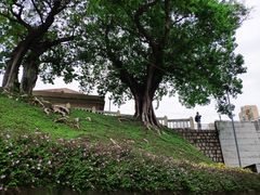 -龙环葡韵住宅式博物馆