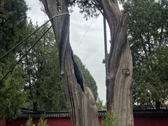 -偏爱炒鸡(老县衙店)