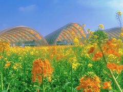 -中国天府农业博览园
