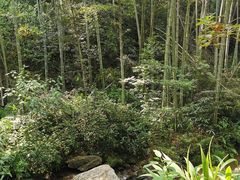 -梅岭神龙潭