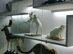 -国家自然博物馆