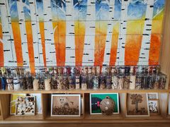 -居住主题小金星幼儿园