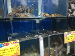 -蚝专家(北滘店)