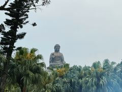 -宝莲禅寺