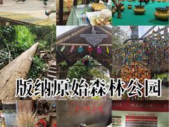 -西双版纳原始森林公园
