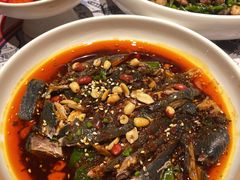 凉拌鸡-铁公鸡·四川料理(天环广场店)