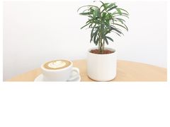 -Onirii Coffee(长乐路店)